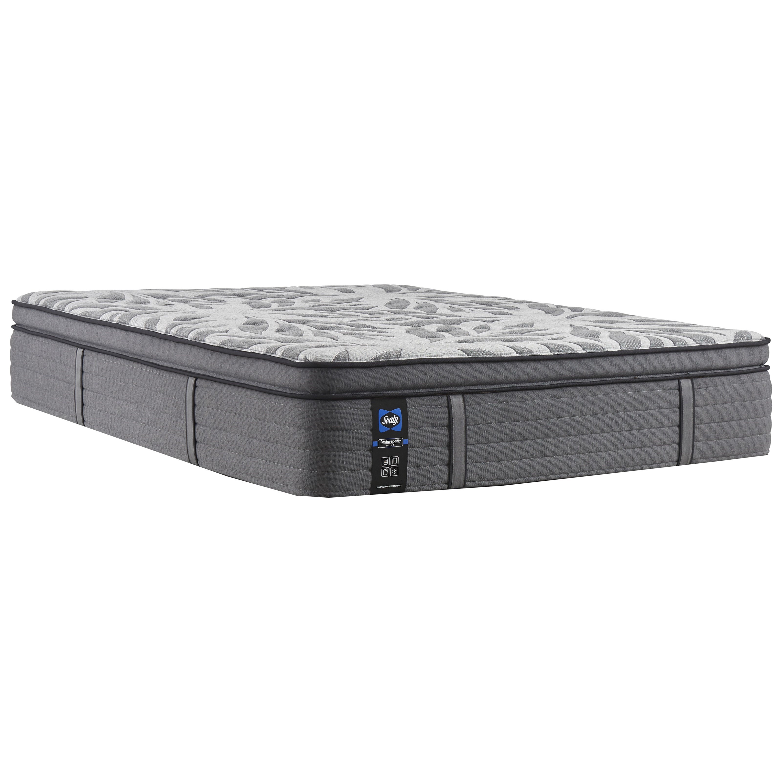 Sealy happiness best sale plush euro pillowtop